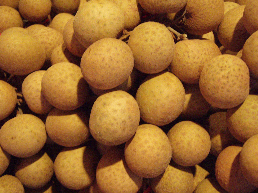 25 Fun And Interesting Facts About Longan Tons Of Facts