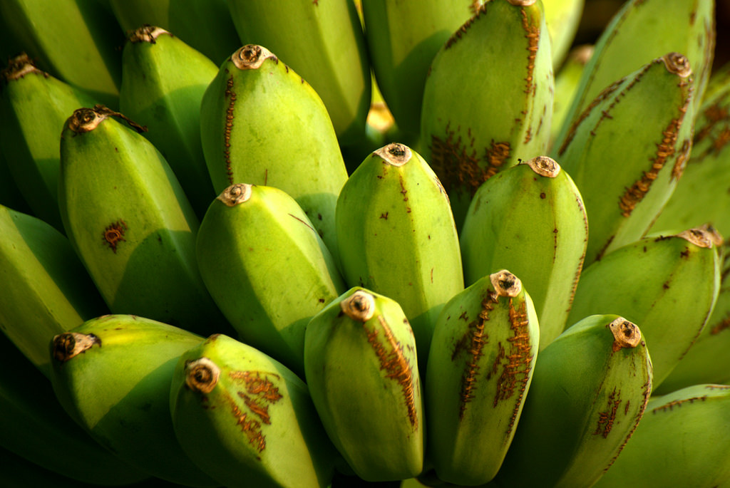 25-fun-and-interesting-facts-about-plantains-tons-of-facts