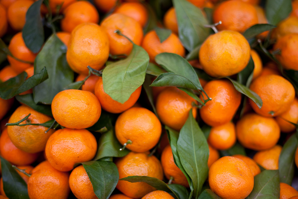 23 Interesting And Fascinating Facts About Tangerines Tons Of Facts