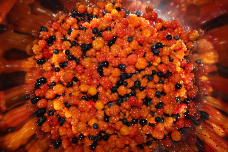 24-interesting-and-fascinating-facts-about-cloudberries-tons-of-facts