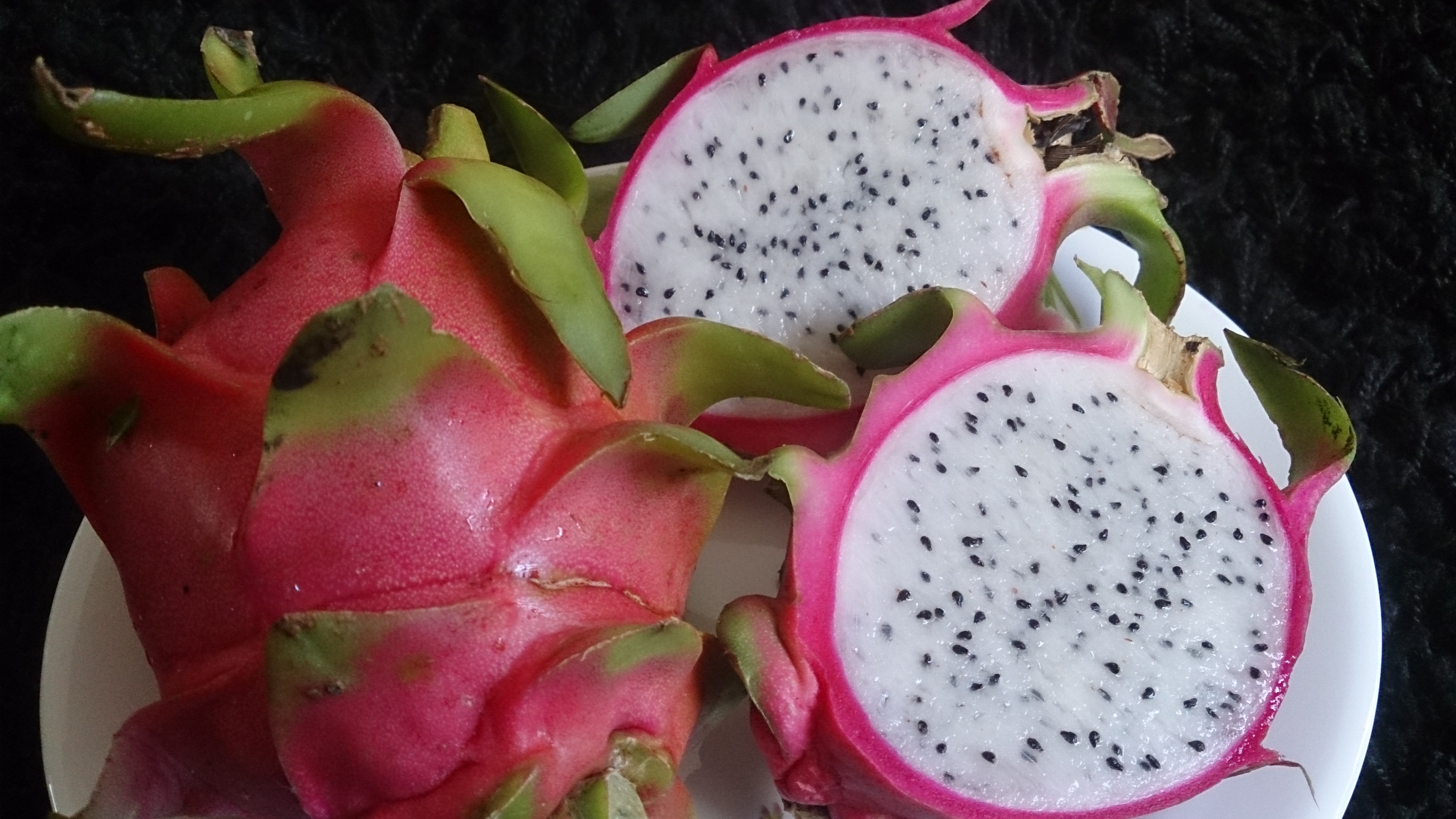 24-interesting-and-fascinating-facts-about-dragon-fruit-tons-of-facts