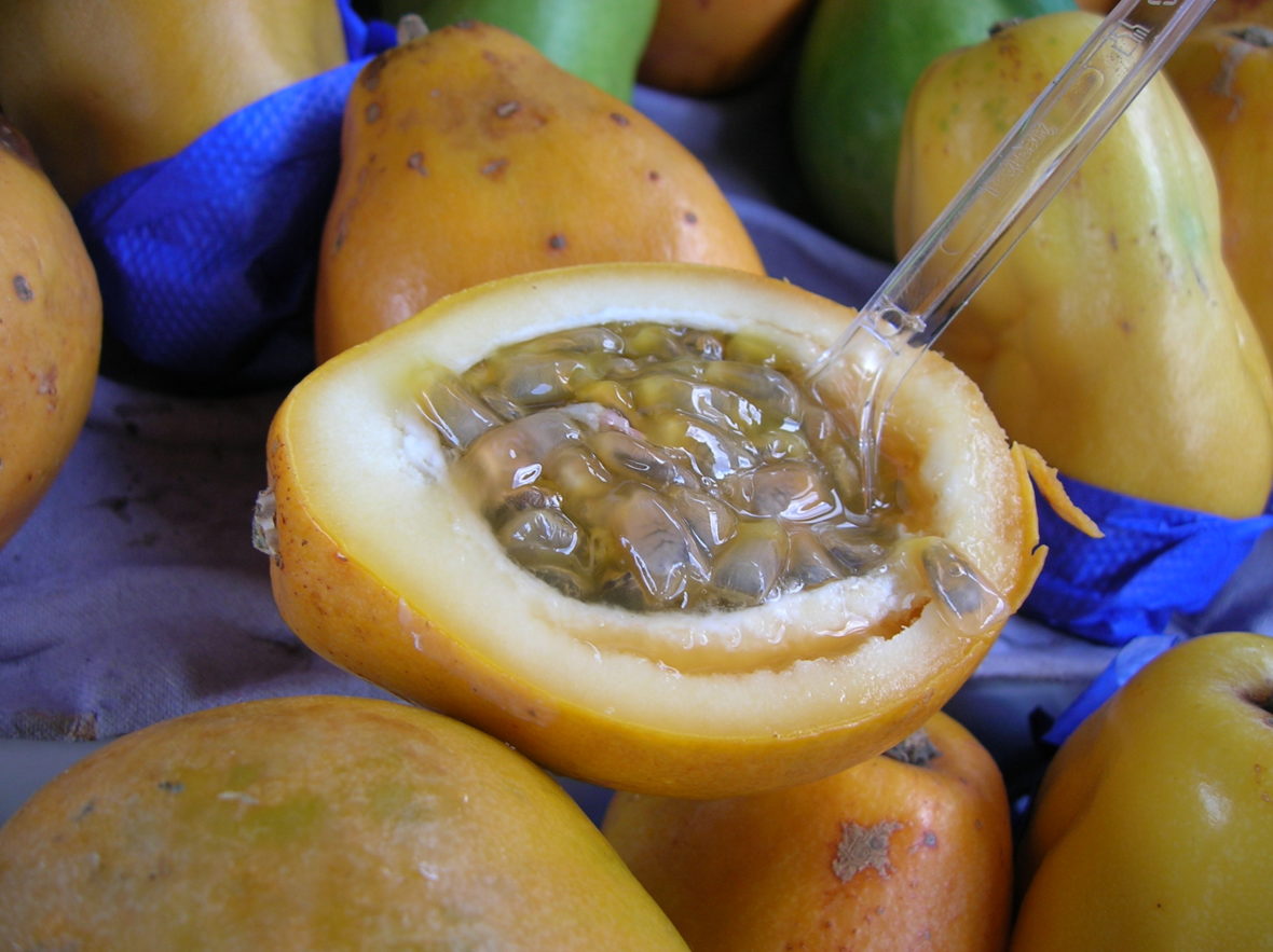 23 Fun And Interesting Facts About Passionfruit Tons Of Facts 2250