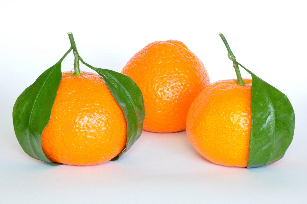 24 Fun And Fascinating Facts About The Mandarin Orange Tons Of Facts