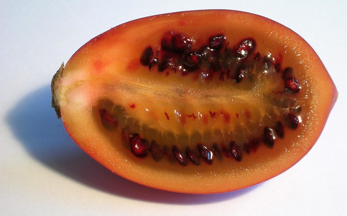 23 Fun And Fascinating Facts About Tamarillo - Tons Of Facts