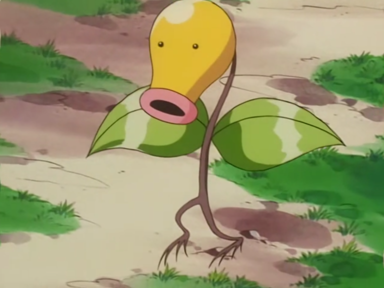 25 Awesome And Fascinating Facts About Bellsprout From Pokemon Tons Of Facts 6045