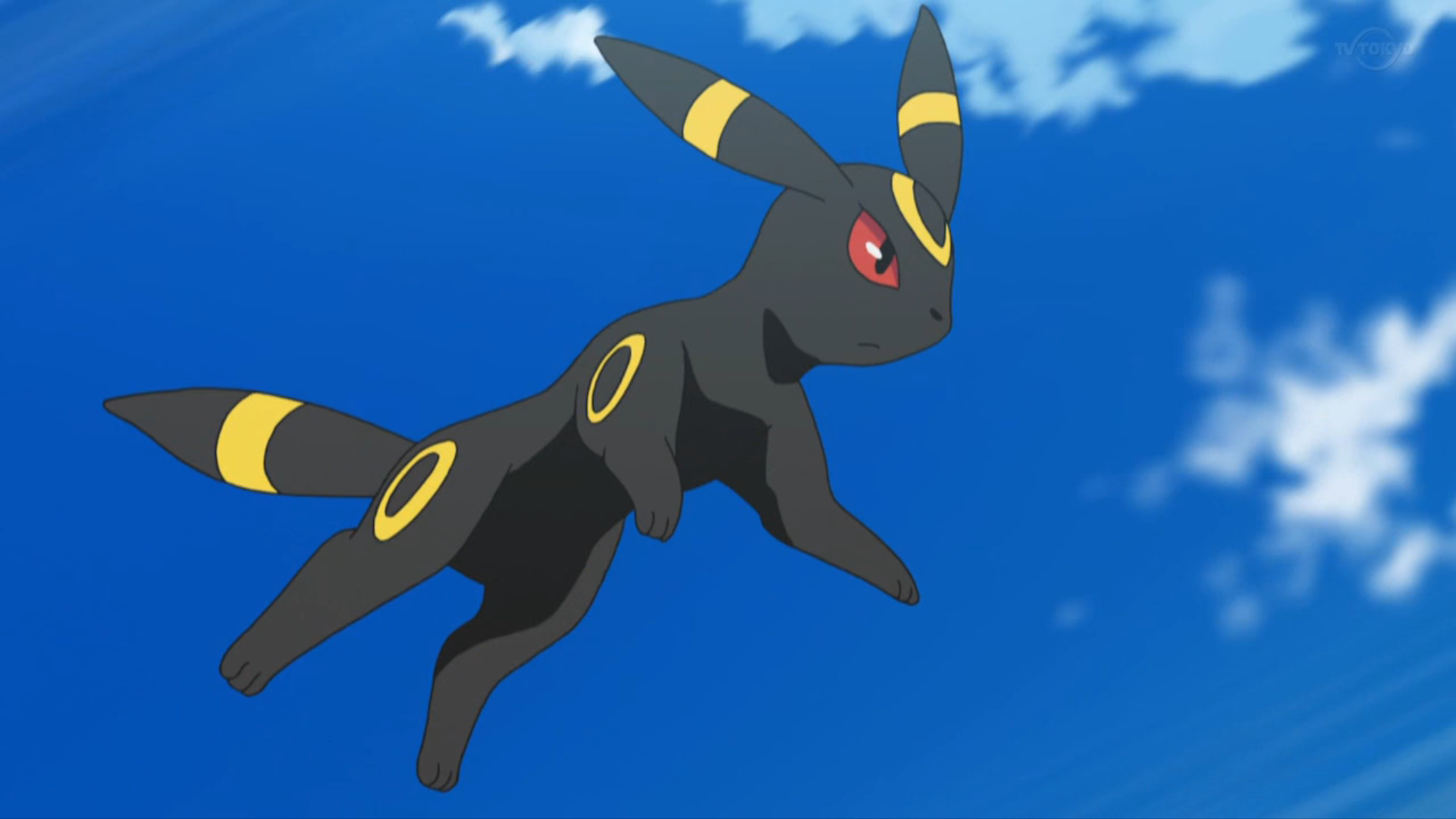 28 Fun And Fascinating Facts About Umbreon From Pokemon.