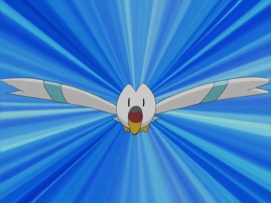 wingull pokemon go coords