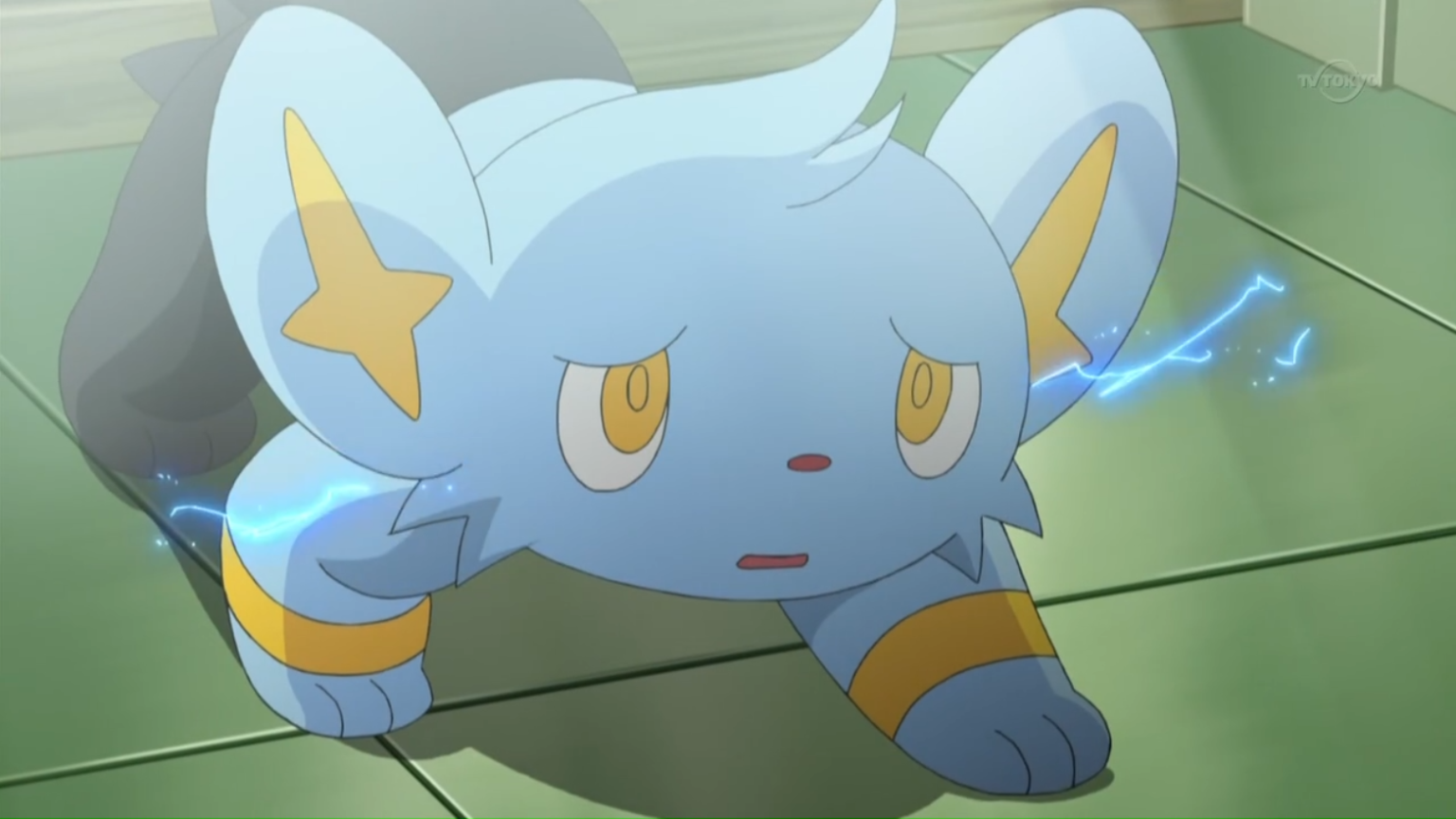 25 Fun And Fascinating Facts About Shinx From Pokemon - Tons Of Facts