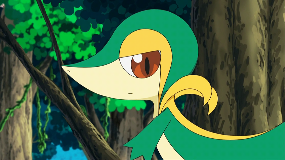 27 Fascinating And Amazing Facts About Snivy From Pokemon - Tons Of Facts