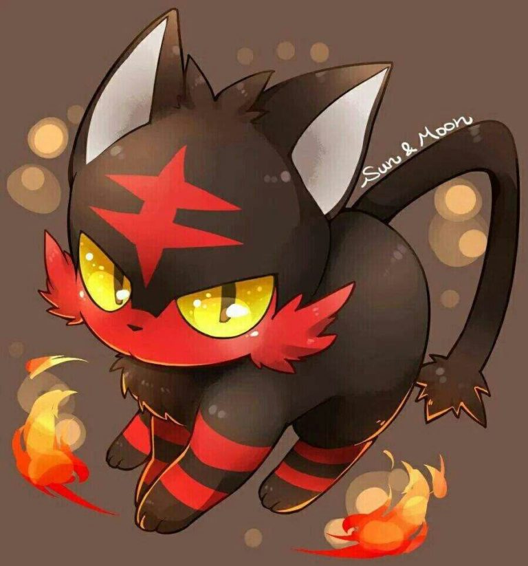 litten teddy