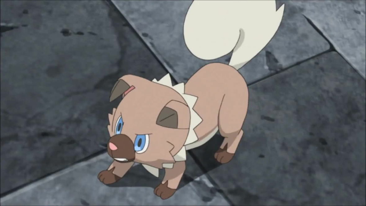 rockruff pokemon teddy