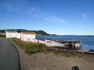 23 Fun And Interesting Facts About Hare Bay, Newfoundland And Labrador 