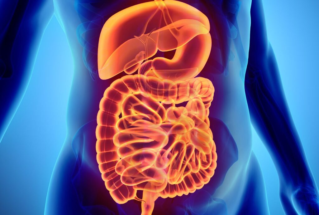 10 Awesome And Fun Facts About The Digestive System - Tons Of Facts