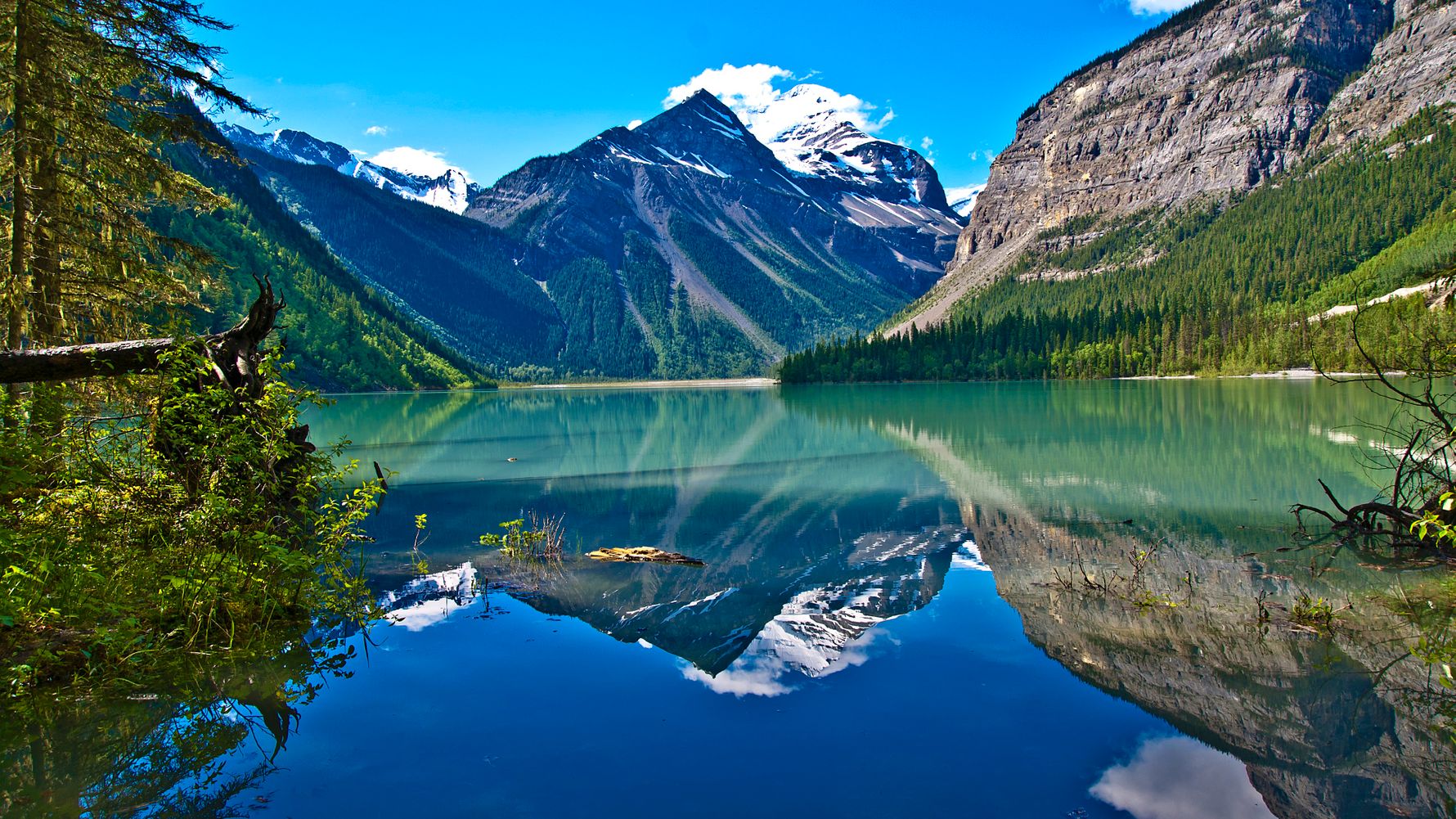 30 Interesting And Incredible Facts About British Columbia - Tons Of Facts