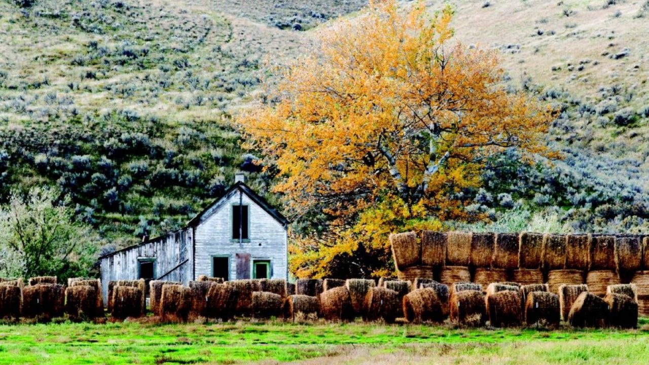 Heppner Haystacks